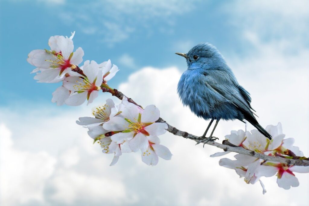 티빙 요금제와 할인 받는 꿀팁 알아보기