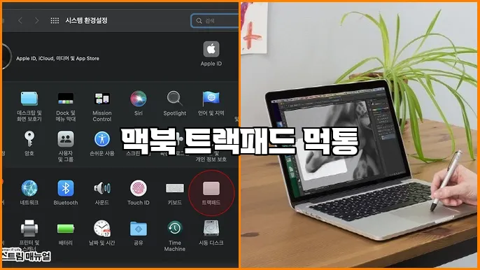 맥북 트랙패드 먹통