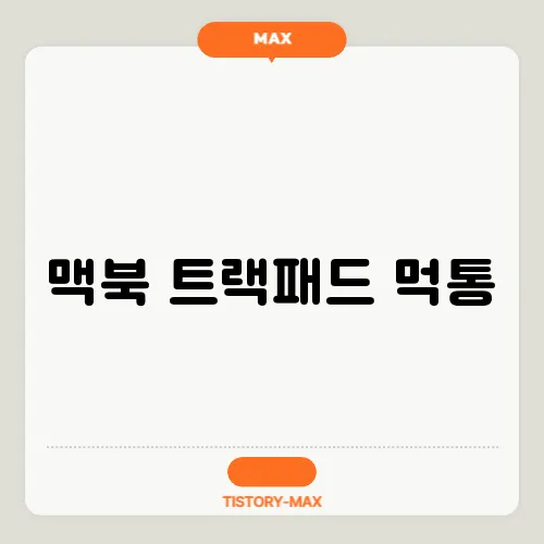 맥북 트랙패드 먹통