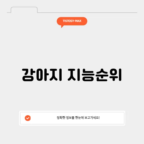 강아지 지능순위