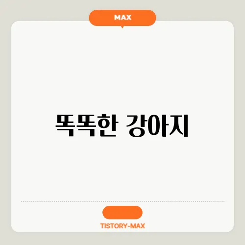 똑똑한 강아지