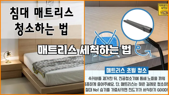 매트리스 세척하는 법