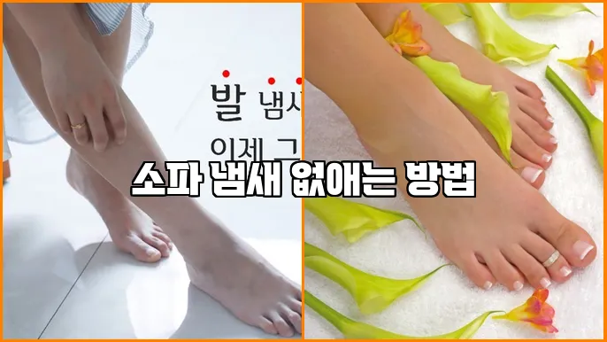 소파 냄새 없애는 방법
