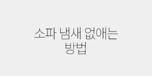 소파 냄새 없애는 방법