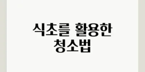 식초를 활용한 청소법
