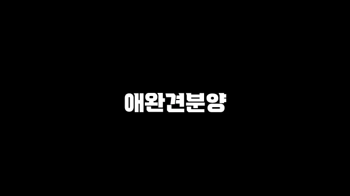 애완견분양
