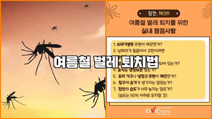 여름철 벌레 퇴치법