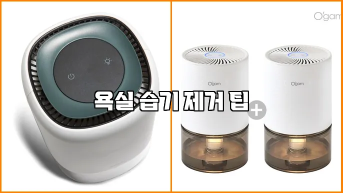 욕실 습기 제거 팁