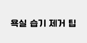 욕실 습기 제거 팁