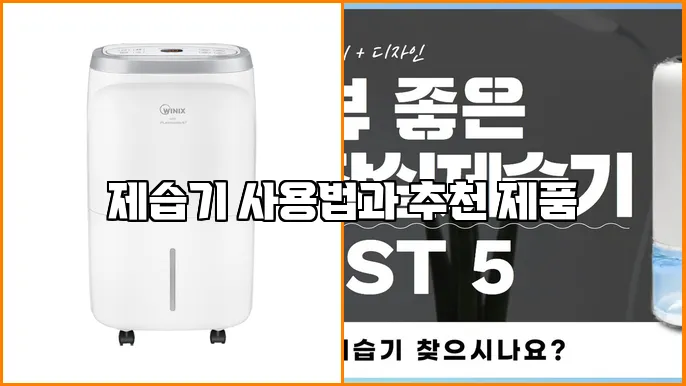 제습기 사용법과 추천 제품
