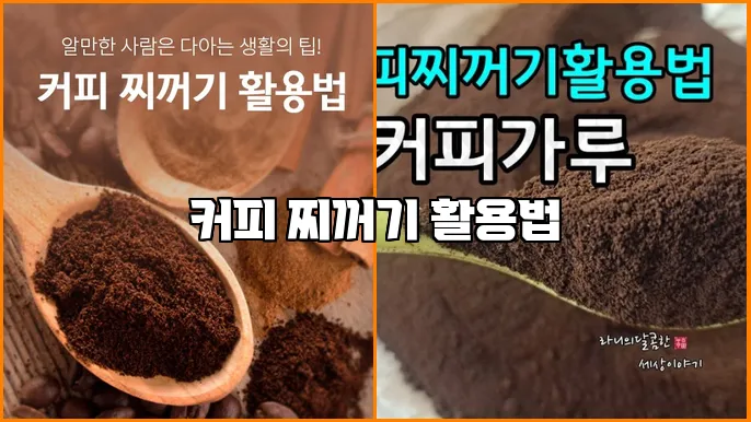커피 찌꺼기 활용법