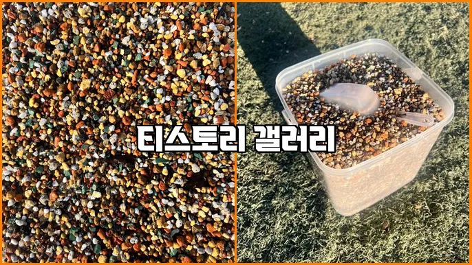 티스토리 갤러리