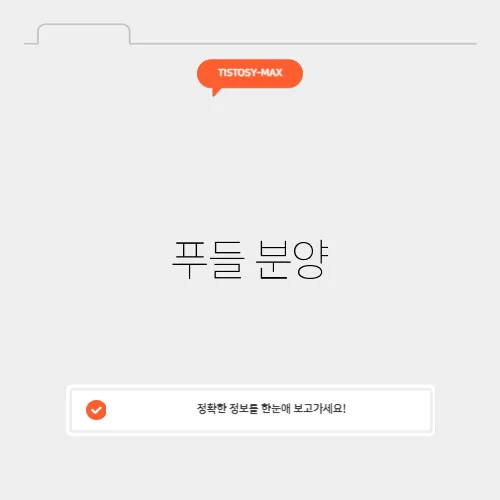 푸들 분양