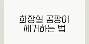 화장실 곰팡이 제거하는 법
