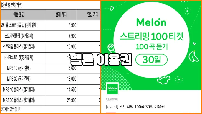 멜론 이용권