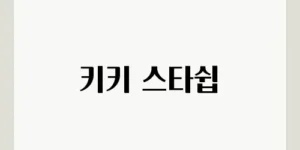 키키 스타쉽