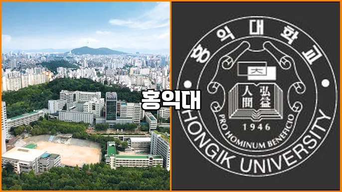 홍익대