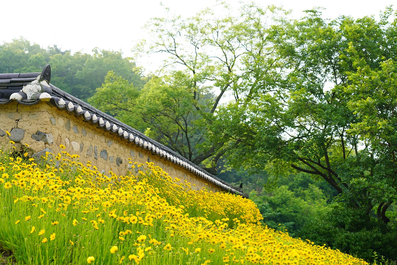 경상대 lms