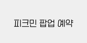 피크민 팝업 예약