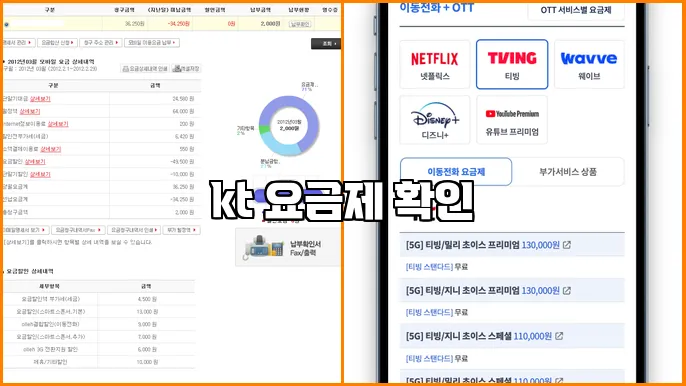 kt 요금제 확인