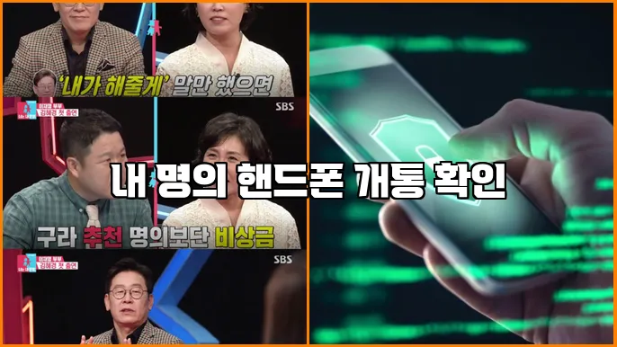 내 명의 핸드폰 개통 확인