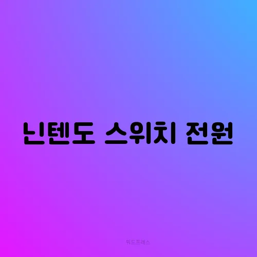 닌텐도 스위치 전원