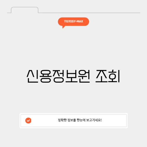 신용정보원 조회