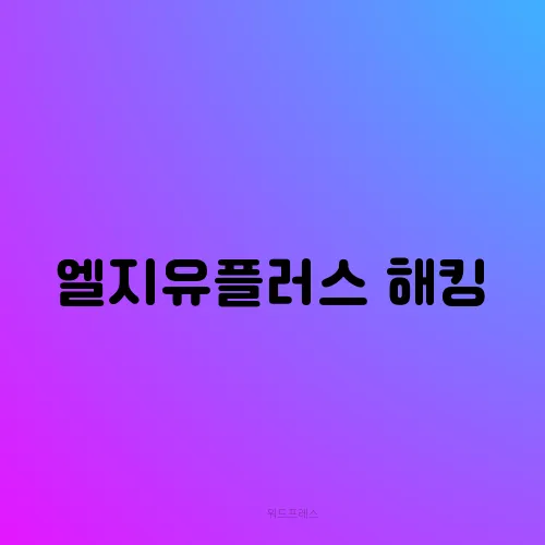 엘지유플러스 해킹