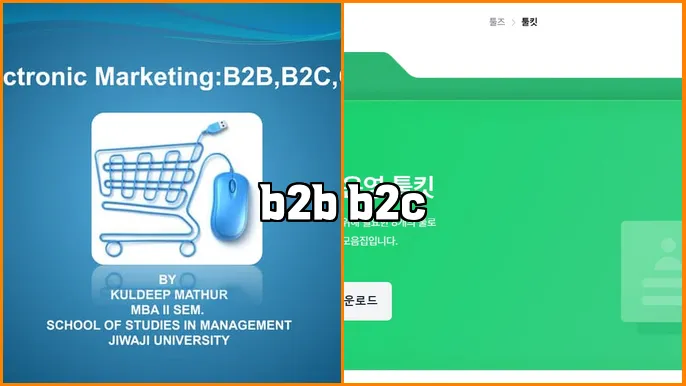 b2b b2c
