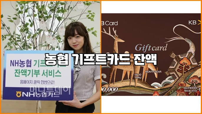 농협 기프트카드 잔액