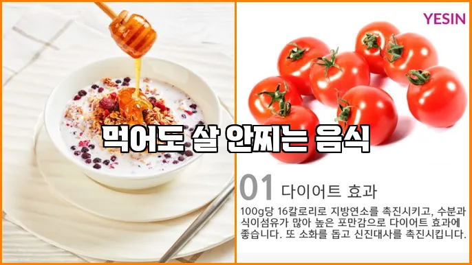 먹어도 살 안찌는 음식