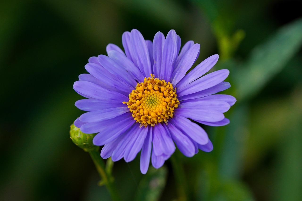 자동심장충격기 패드 부착 위치