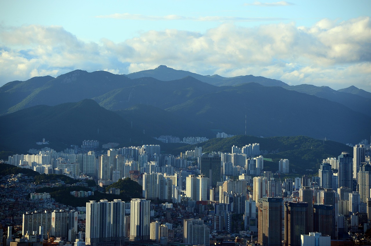 손택스 연말정산 환급금