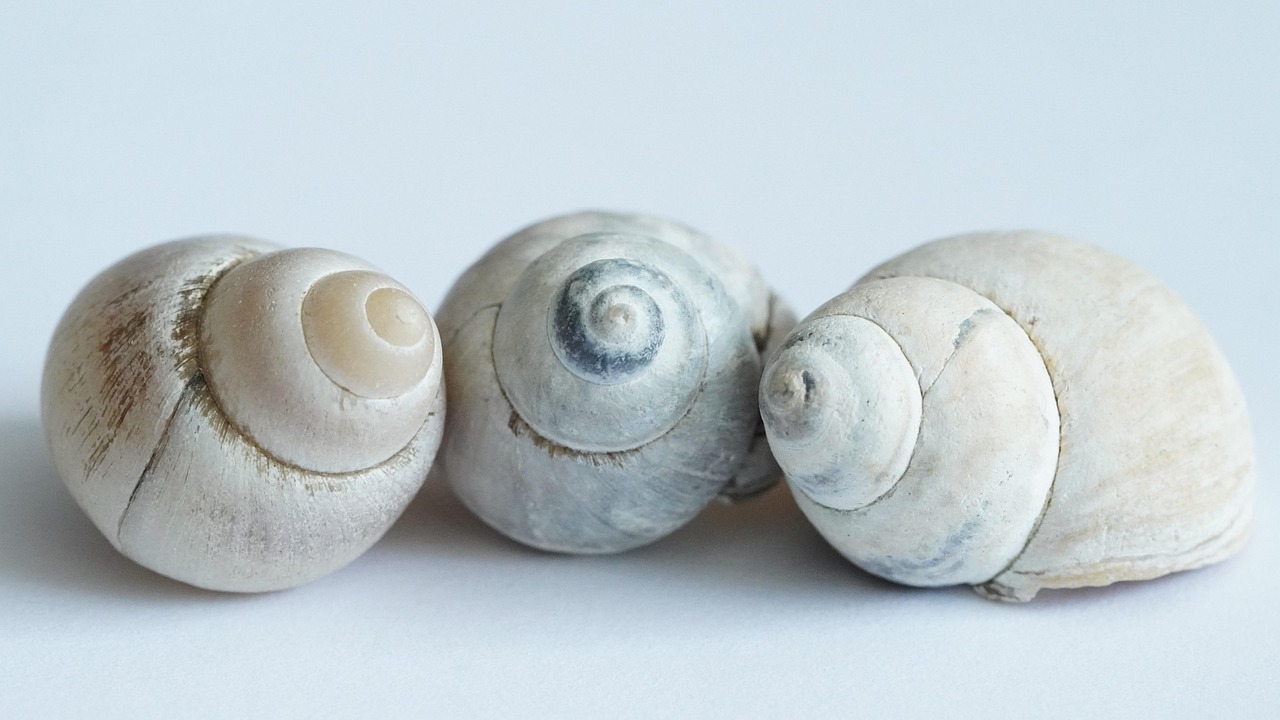 네이버 폼 큐알 만들기