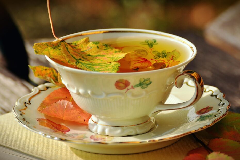 네이버 링크 만들기