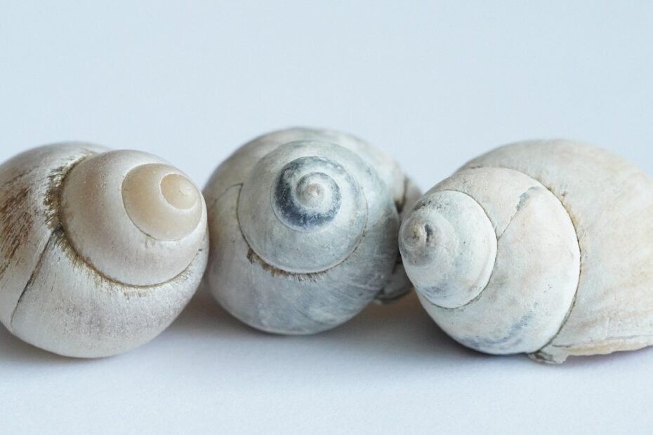 네이버폼 큐알코드 만들기