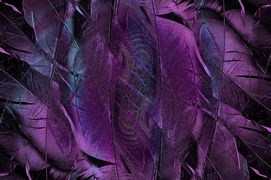 네이버폼 큐알코드 활용법 알아보자