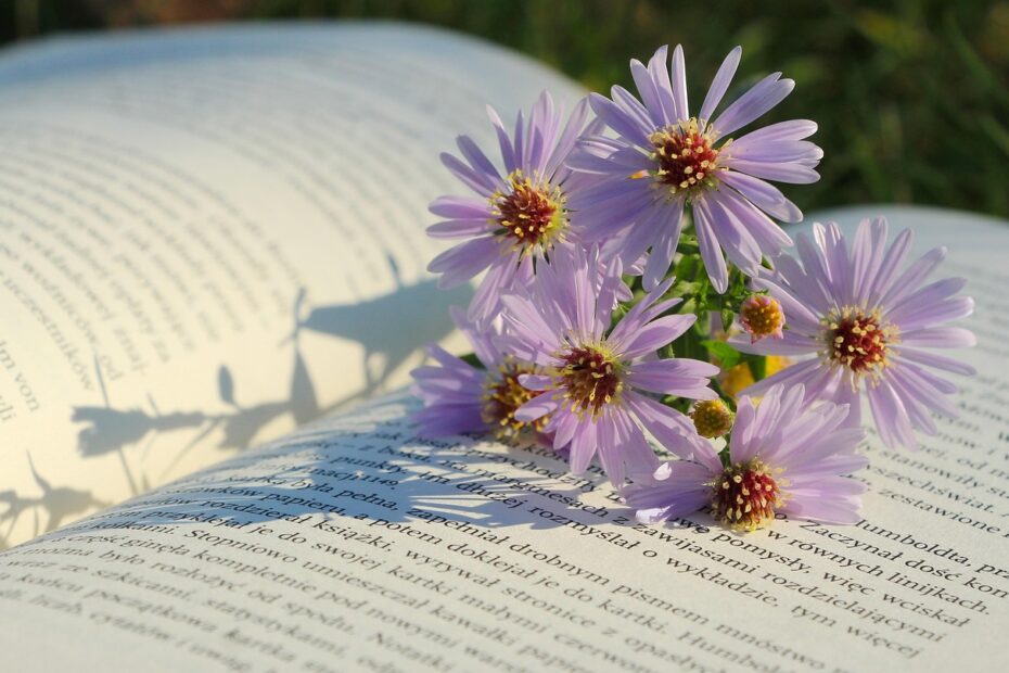 메가박스 오티북 활용 꿀팁