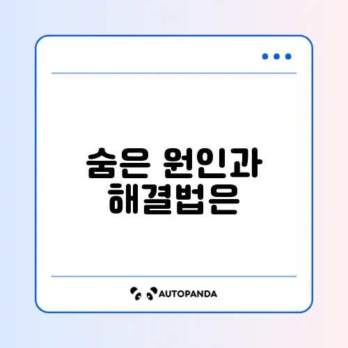 좀벌레 원인 및 퇴치