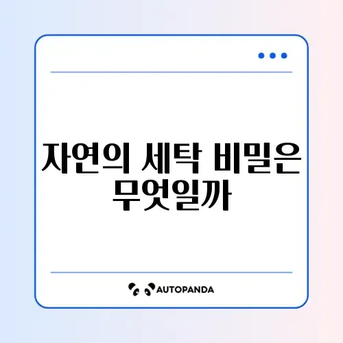소프넛 세탁 열매 사용법