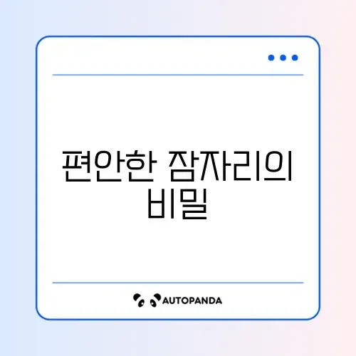 바디필로우(죽부인) 추천