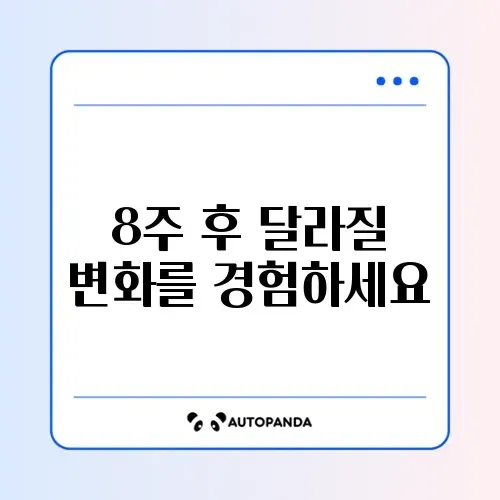 8주 만에 효과 보는 직장인 영양제 추천 가이드