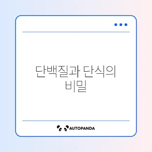 간헐적 단식 단백질량과 기간 집에서 쉽게 관리하는 완벽 가이드