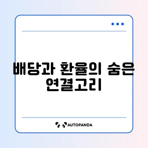 초보를 위한 배당주 환율 전략 완벽 정리 알아보기
