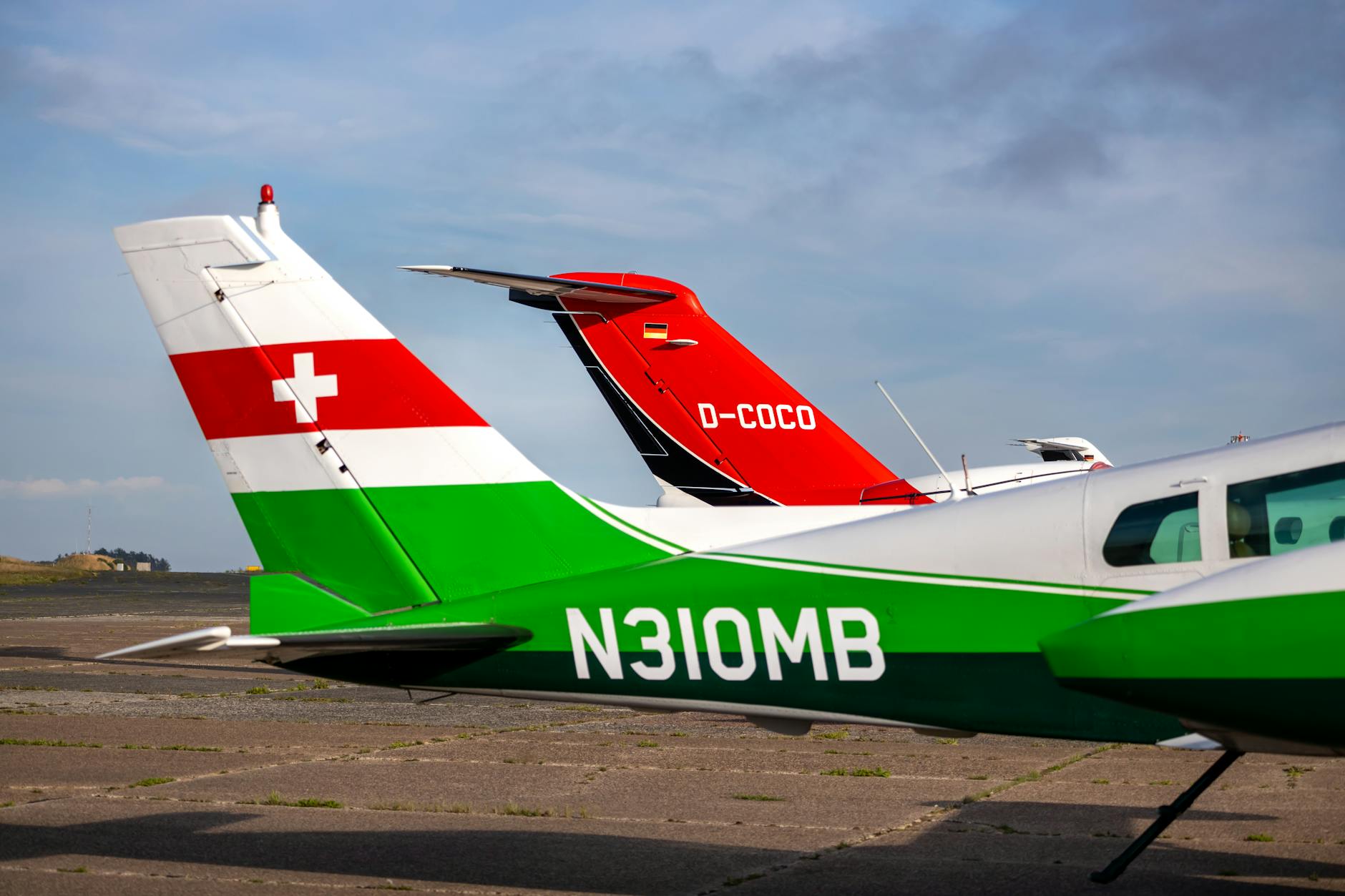 반려동물 등록 어디서 체크리스트