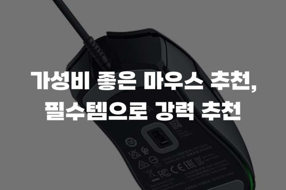 가성비 좋은 마우스 추천, 필수템으로 강력 추천