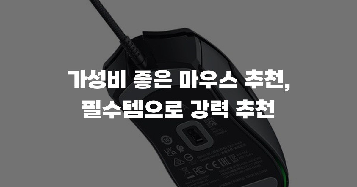 가성비 좋은 마우스 추천, 필수템으로 강력 추천