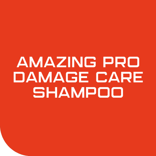 로델리아 어메이징 프로 데미지 케어 미용실 전용 단백질 샴푸 1000ml