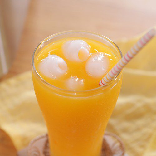 신일 얼음 가정용 캠핑용 제빙기 소형 업소용 카페 12Kg 급속제빙 아이스메이커