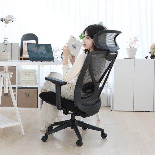 린백 컴퓨터 사무실 책상 공부 학생 허리 편한 국내생산 의자 LB235H